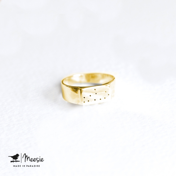 Ring Sterrenbeeld Steenbok goud op zilver Ring Sterrenbeeld Steenbok goud op zilver